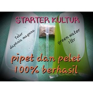 Daphnia Magnna Culture Starter Saving Package