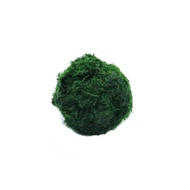 X.B.K 3-4cm Marimo Moss Balls Live Aquarium Plant Algae Fish Shrimp Tank Ornament Simulation Green A