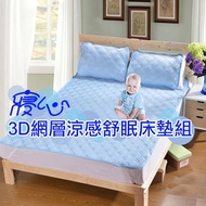 外銷日本 3D網層涼感舒眠床墊組 枕墊X2