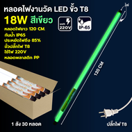 ไฟงานวัดยกลัง18W หลอดไฟสีงานวัด LED T8 ไฟวัด ไฟนีออน led220v แบบยาว นีออนกันน้ำ พร้อมปลั๊ก ไฟประดับต