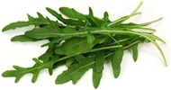 150 SEMI ARUGULA HERB 2018:Seeds Only