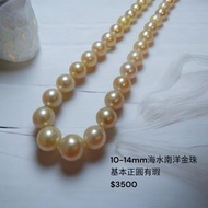 海水珍珠 天然海水南洋金珠 正圓10-14mm 奶油金