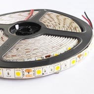 LED STRIP LIGHT 12V DC SMD5050 LED LAMP STRIP 12V LED RIBBON 5050 SMD LED WATERPROOF IP65