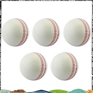 Sports Cricket, Training Cricket, Sports Wind Swing Rebound  Cricket, Elastic Decompression Ball gre