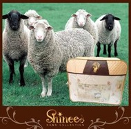 原售價8980元↘SHINEE《國際羊毛局認證天然100%羊毛被》(純棉印花表布)雙人棉被 冬被-另有單人，雙人加大
