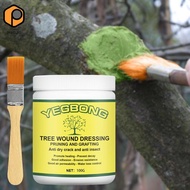 [prettyia] Bonsai Pruning Paste, Tree Wound Sealant, Water-Resistant Pruning Sealant with Brush for 