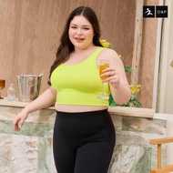 (Plus Size) D&P Sport Crop Bra | Clearance | D-8133 สปอร์ตบรา ไร้โครง กระชับ เก็บเนื้อส่วนเกินได้ดี