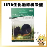 Suction Cup// ISTA Biochemical Filter-Suction Cup 2 Pcs-|A5|[Dragon Jazz Aquarium]