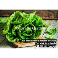 Benih Sayur Baby Romaine Lettuce Seed Benih Sayur Salad Yau Mak Tam Seed Vegetable Seed 200 biji per