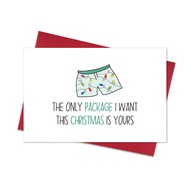 [Coisíní] Funny Christmas Cards with Envelopes, Naughty Christmas Gifts for Boyfriend Husband Men, U