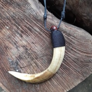 Premium KW Fang Necklace 14cm Long Black Rope Motif