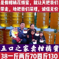 Citrus Honey Rural Hundred Nectar Soaked Lemon Orange Honey Earth Honey Glass Bottled 2023 New Citru