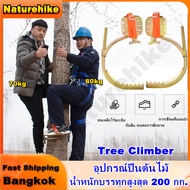 อุปกรณ์ปีนต้นไม้ Tree Climbing ที่ปีนต้นไม้ ปีนต้นไม้ รุ่น อุปกรณ์ปีนต้นไม้ อุปกรณ์ปีนเสาไม้ รองเท้า