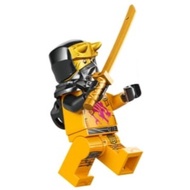Original Lego Ninjago - Arin (Shirt with Magenta Dragon, Hood with Horns) 71832 71843 Minifigure new