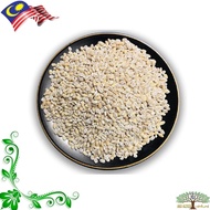 Peary Barley // White Barley Rice