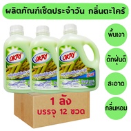 ยกลัง OKAY น้ำยาถูพื้นเงา เคลือบเงา น้ำยาเช็ดประจำวัน โอเค MPG*12 (Anti-Dust) น้ำยาเช็ดเอนกประสงค์ ก