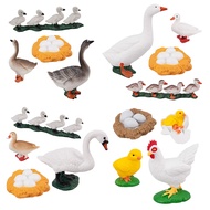 16PCS Life Cycle of Goose White Swan Chicken Duck Farm Animals Figures, Plastic Safariology Growth C