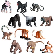 BALSA 6PCS Lifelike Monkey Model Educational Toys Science  Realistic Simulation Gibbon Cubs