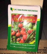 Benih Tomat TM BLAZER F1 10 GRAM