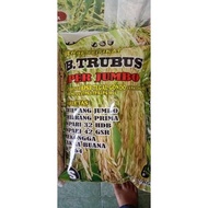 benih padi inpari 42 fs dan ss (label putih) nzvbst 4789ja