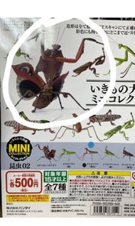 生物大圖鑑  螳螂 O1 全新