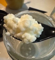奶克菲爾菌種kefir*長期供應*Milk Kefir grains creamy healthy kefir kefiran 開菲爾菌種sustainable supply