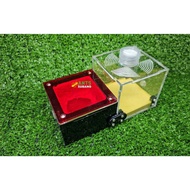 Ants Subang Modular Ant Nest (Customize) + Ant Colony