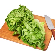 RedMart Romaine Lettuce Salad