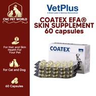 【VETPLUS】 VETPLUS COATEX EFA 60 Capsules (1 Box) | Skin Supplement for Cat and Dog