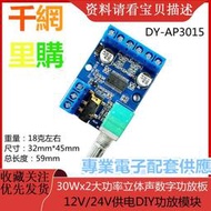 30Wx2大功率立體聲數字功放板12V/24V供電DIY功放模塊 DY-AP3015