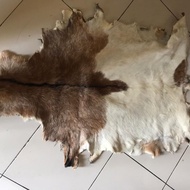 kulit kambing disamak bulu motif natural
