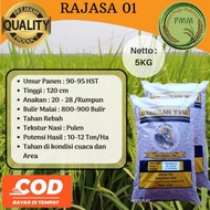 100%Ori Bibit Padi Unggul Rajasa 01 Padi Galur Aceh 5Kg [Stok Ready]