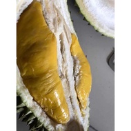 100% MUSANG KING Durian Frozen Packed (Doorstep delivery Ipoh/Meru/Menglembu/Bercham/Selangor/KL