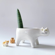 Monkey Potted Cat Plant Tail Green Tail Flower Pot Art Nine-Tailed Fox Cactus Plant Desktop Cartoon 