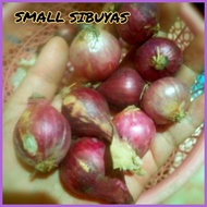 ◫ ♕ ◲ SMALL ONIONS/ LASONA/LASUNA/MALILIIT NA SIBUYAS( Ship out Agad)