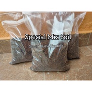 AROID SPECIAL SOIL MIX (SSM)