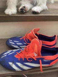 Adidas Predator 足球鞋