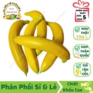 Combo of 5 Fake Bananas 20x5cm - 99% Real Thai Technology Model