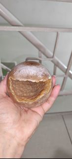 瑪瑙開口笑
