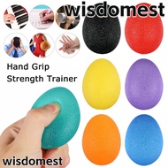 WISDOMEST Hand Grip Squishy Exercise Squeezer Equipment Ball Wrist Rehab Therapy