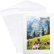 100Pcs 9-3/8 x 12-2/5 Clear Self Sealing Cellophane Cello Bags Plastic Sleeves - Fit 9x12 Inch Water