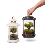 【植物提燈】不含植物原木植物燈 智能APP控制 | Leaf'n Joy 蒔光