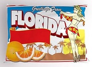 Ambesonne Florida Pillow Sham, Greetings from Florida-Postcard Design with a Pin-up Bikini and Orang