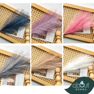 Bunga Hiasan Ruang Tamu Asthetic Decorative Flower Artificial Fluffy Grass Fake Plant Pampas Decorat