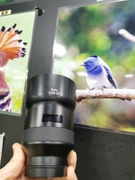 Zeiss Batis 40mm f2 CF 40 F2 靚色彩