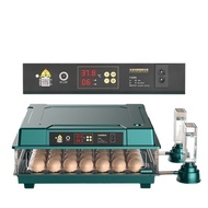 Chicken Young Chicken Small Incubator Household Smart Chicken Direct Sales 7LXY