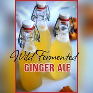 Ginger Kvass 400ml,Ginger Ale,Fermented Ginger Juice Probiotic