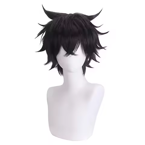 Black Short Hair Wig Anime the Rising of the Shield Hero Naofumi Iwatani Cosplay