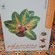 AGLAONEMA