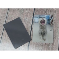 Magnet3D 3d magnet Refrigerator 2.2×3.5" The Only One In The World!!